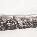Gorska Dolina 3* Stronie Śląskie