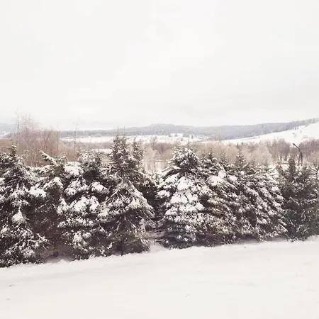 Gorska Dolina 3* Stronie Śląskie