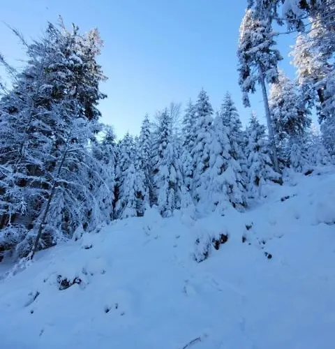 Gorska Dolina 3* Stronie Śląskie