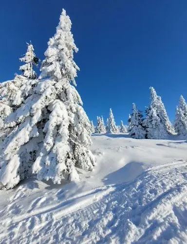 Gorska Dolina Stronie Śląskie