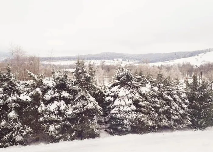 Górska Dolina 3* Stronie Śląskie